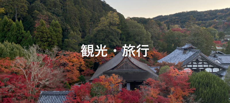 さくら観光・旅行コース