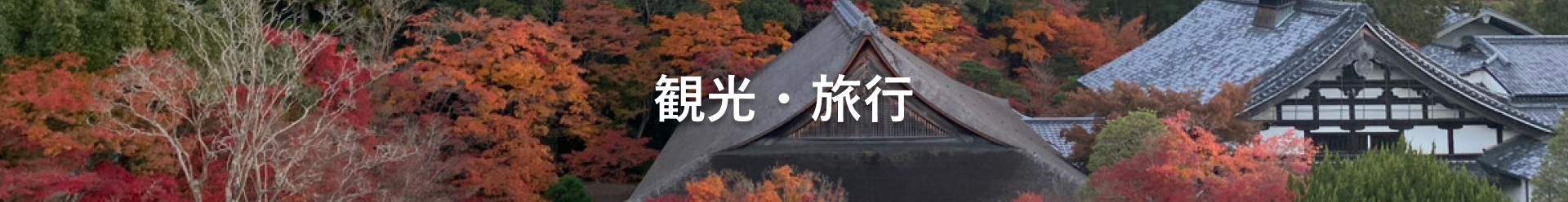 さくら観光・旅行コース